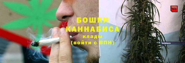 прущие грибы Переславль-Залесский