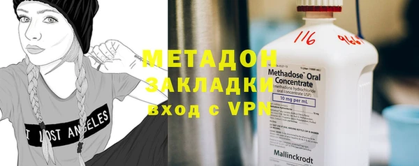 прущие грибы Переславль-Залесский
