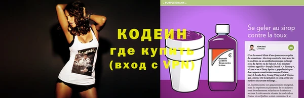 прущие грибы Переславль-Залесский