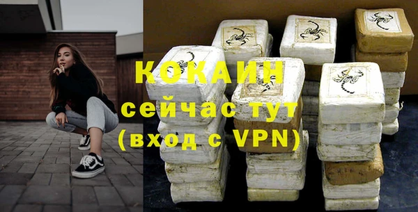прущие грибы Переславль-Залесский