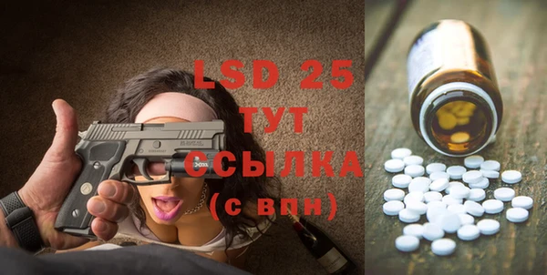прущие грибы Переславль-Залесский