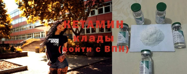 прущие грибы Переславль-Залесский