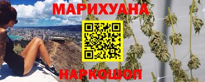 хмурый Тула