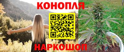 хмурый Тула