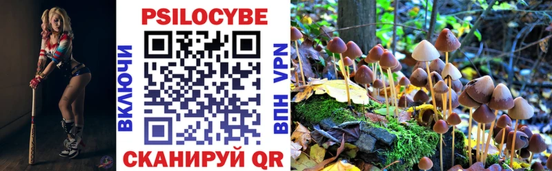 купить наркотики цена  Тейково  Галлюциногенные грибы мухоморы 