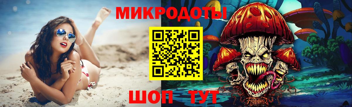 Псилоцибиновые грибы Psilocybe Тейково